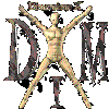 DimensioneX